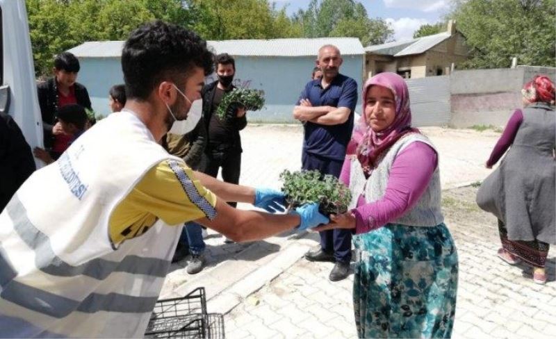 Edremit’te çiftçilere 170 bin sebze fidesi dağıtıldı