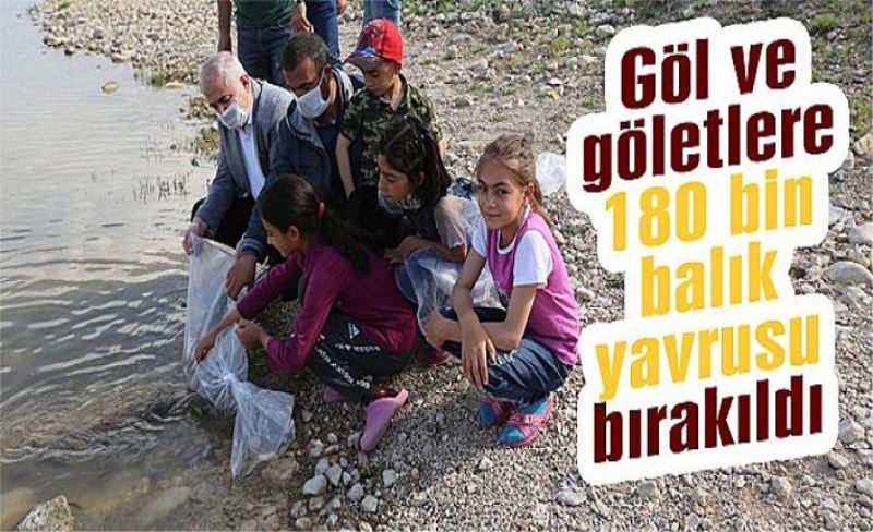 Göl ve göletlere 180 bin balık yavrusu bırakıldı