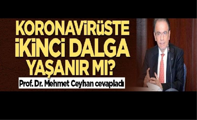 Koronavirüste ikinci dalga yaşanır mı? Prof. Dr. Mehmet Ceyhan cevapladı