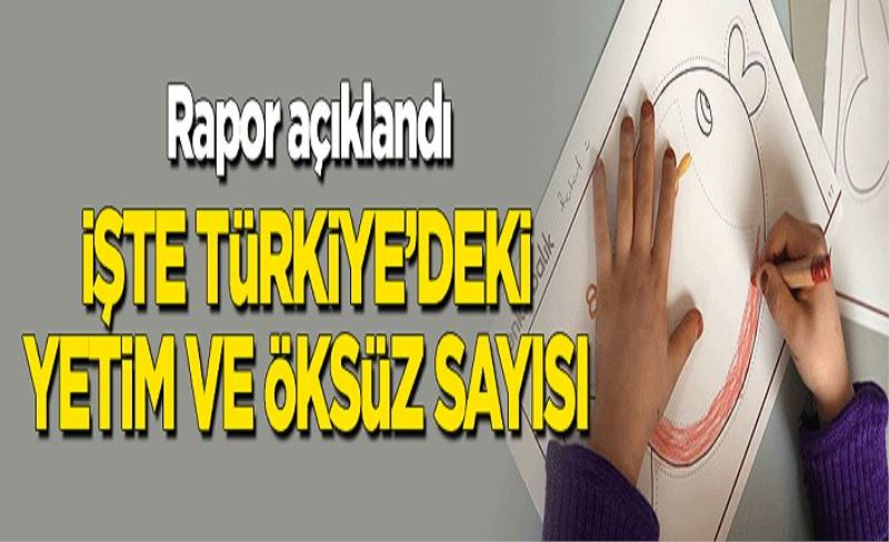 Rapor açıklandı! İşte Türkiye'deki yetim ve öksüz sayısı