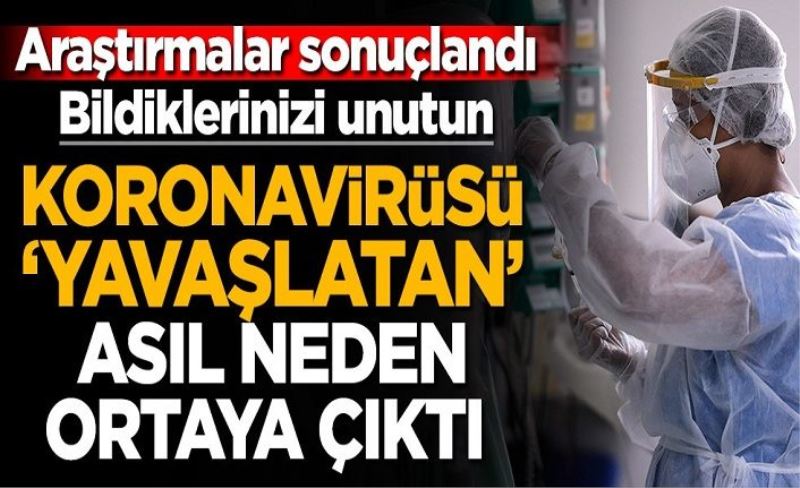 Bilim insanları açıkladı: Koronavirüsü 'yavaşlatan' koşullar bulundu!