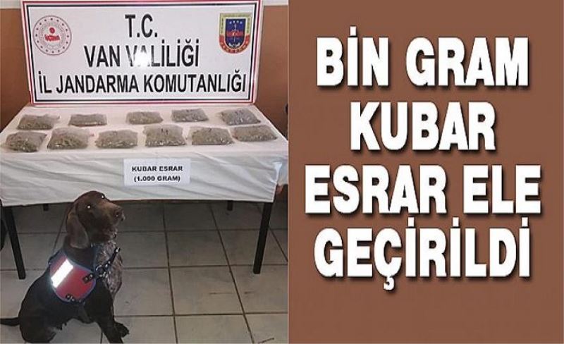 Bin gram kubar esrar ele geçirildi