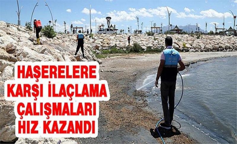 Haşerelere karşı ilaçlama çalışmaları hız kazandı