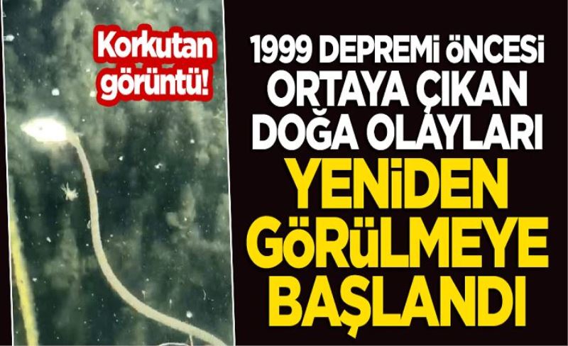 Korkutan görüntü: 1999 depremi öncesi çıkan doğa olayları yeniden gerçekleşmeye başladı