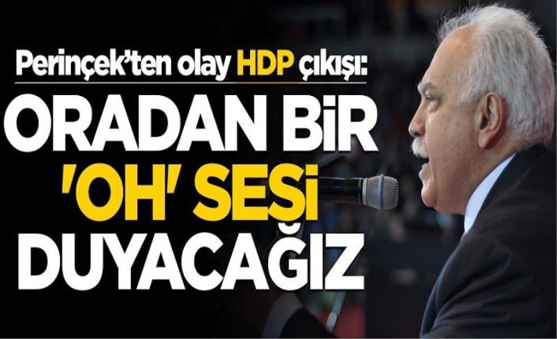 Perinçek'ten çok konuşulacak HDP çıkışı! "Oradan bir 'oh' sesi duyacağız"