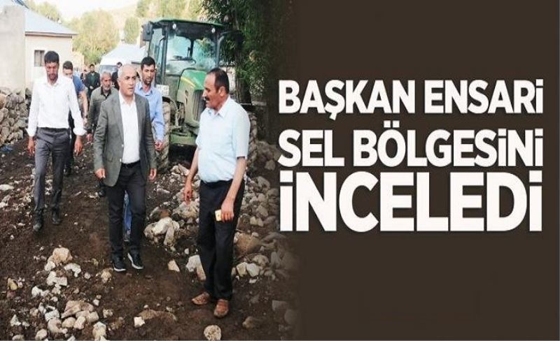 Başkan Ensari'den sel bölgesine inceleme...