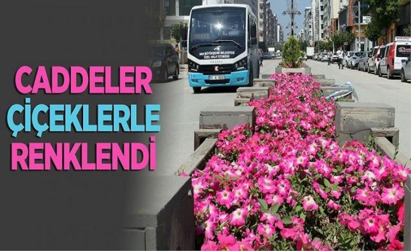 Büyükşehir'in yetiştirdiği çiçekler şehre renk katıyor