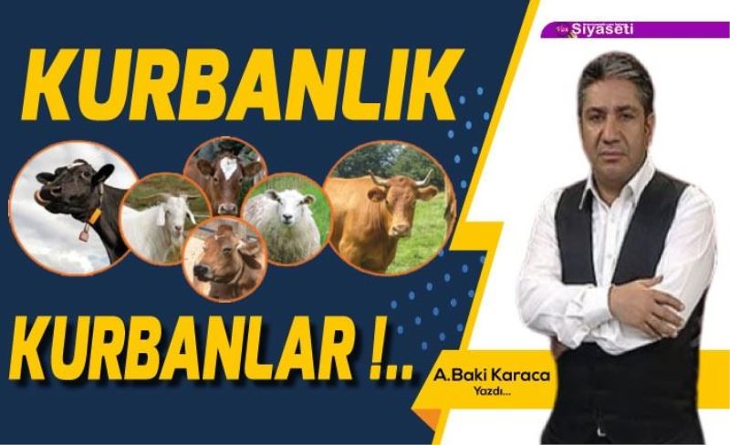 KURBANLIK KURBANLAR!....