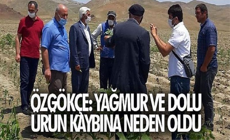 Özgökçe: Yağmur ve dolu ürün kaybına neden oldu