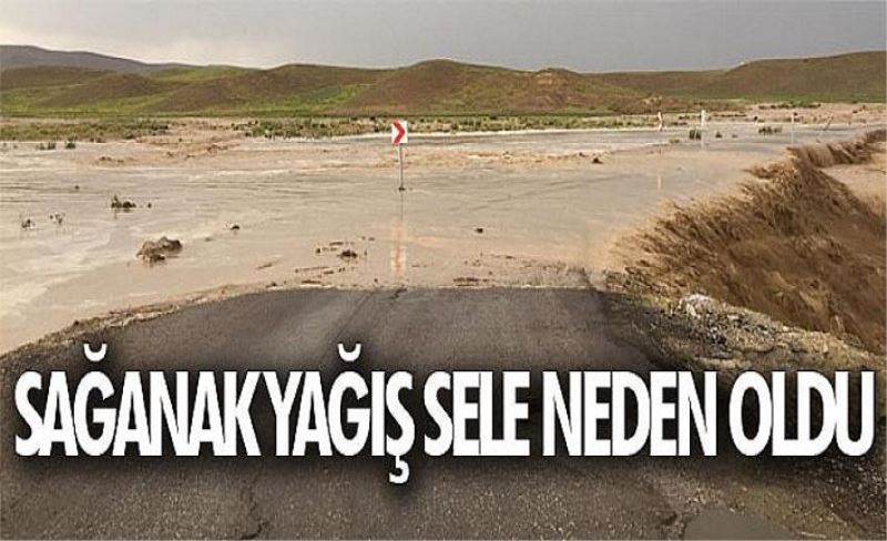 Sağanak yağış sele neden oldu