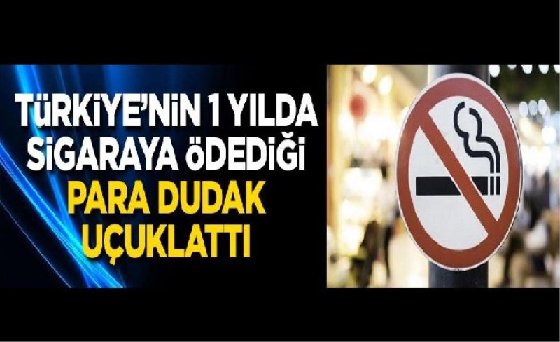 Türkiye'nin 1 yılda sigaraya ödediği para dudak uçuklattı