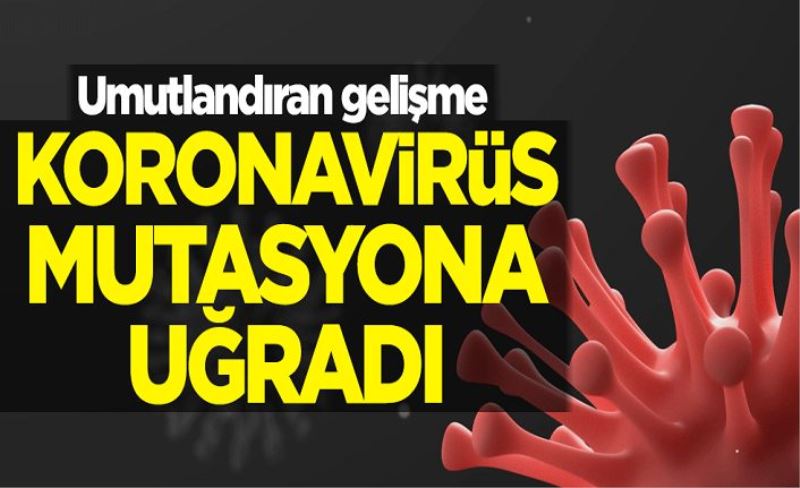 Umutlandıran gelişme! Koronavirüs mutasyona uğradı