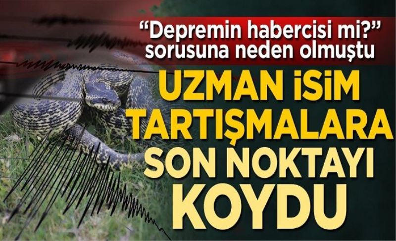 Uzmanı gündemdeki tartışmaya son noktayı koydu: Yılanlar depremin habercisi değil