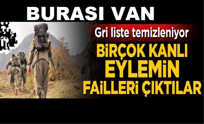 Van'da etkisiz hale getirilen teröristler birçok kanlı eylemin failleri çıktı