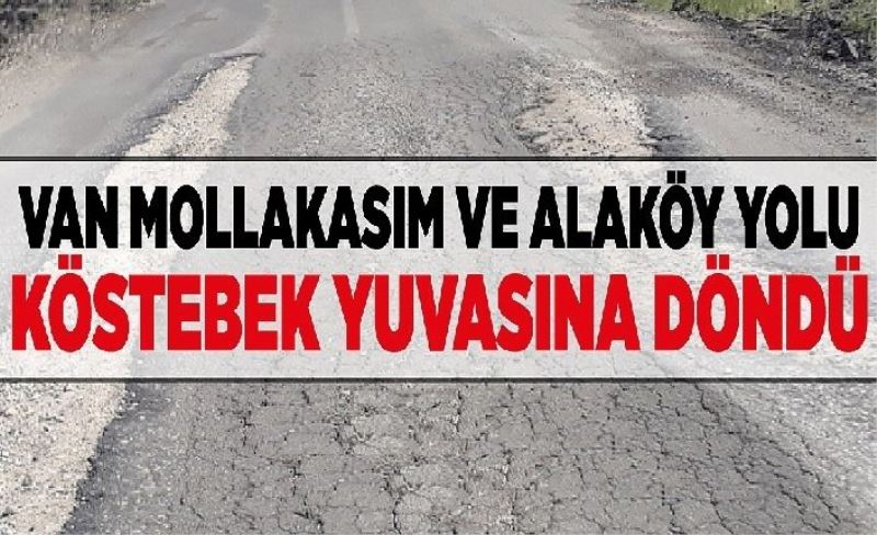 Van Mollakasım ve Alaköy yolu köstebek yuvasına döndü