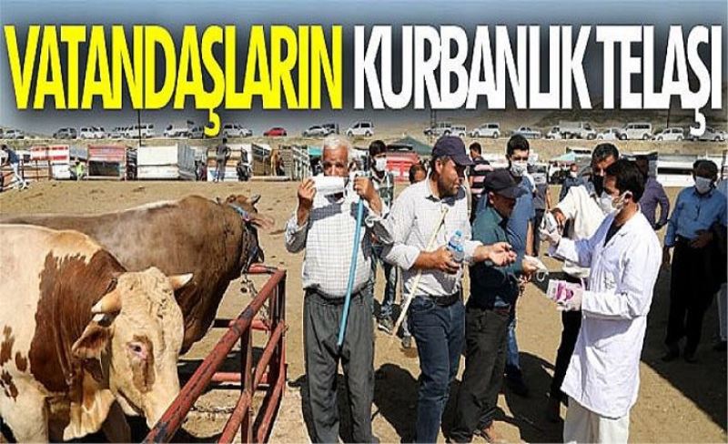 Vatandaşların kurbanlık telaşı