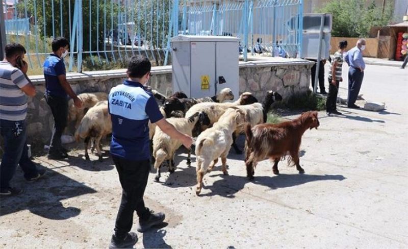 Zabıtanın bayram öncesi denetimleri sürüyor