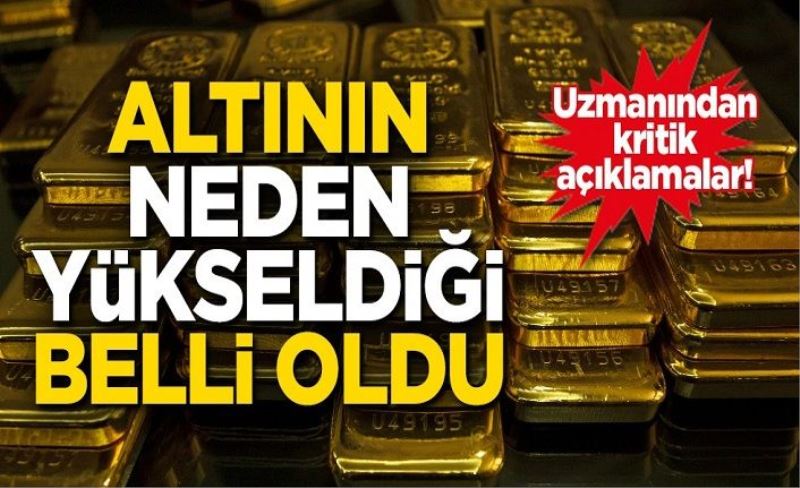 Alıcılar dikkatli olsun! Uzmanı altının neden yükseldiğini açıkladı