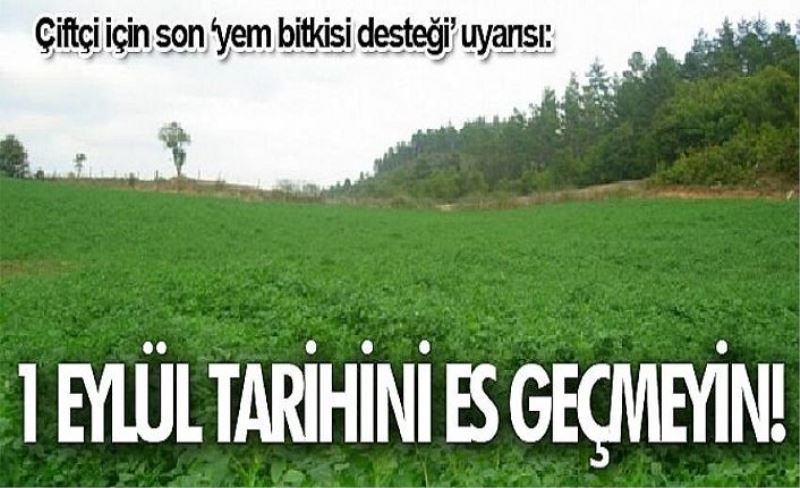 Çiftçi için son ‘yem bitkisi desteği’ uyarısı: 1 Eylül tarihini es geçmeyin!