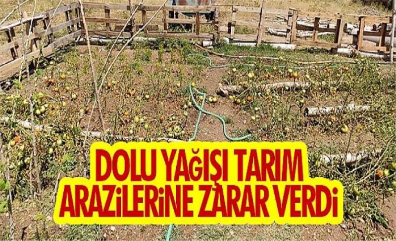 Dolu yağışı tarım arazilerine zarar verdi