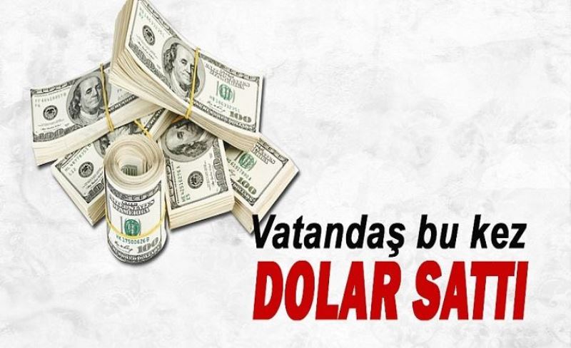 Döviz satışları hızlandı, döviz mevduat hesapları geriledi