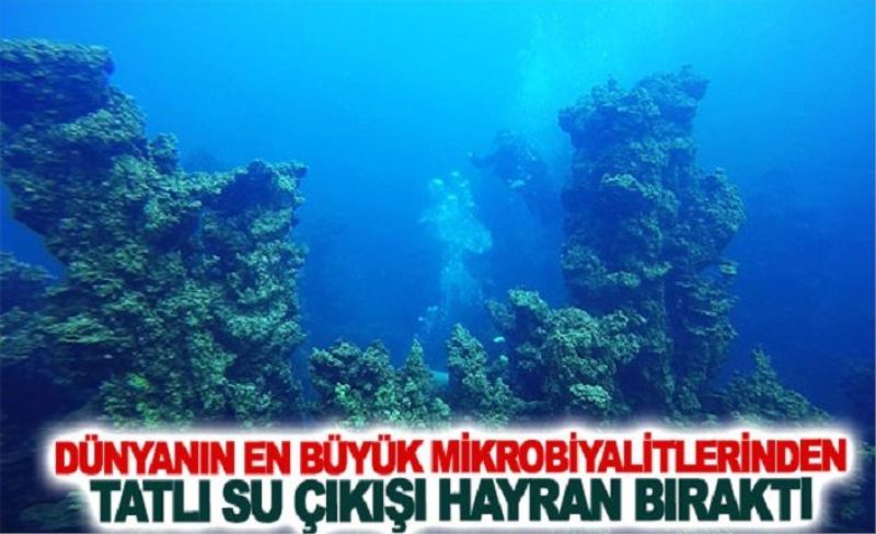 Dünyanın en büyük mikrobiyalitlerinden tatlı su çıkışı hayran bıraktı