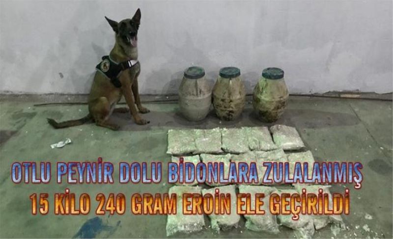 Bidondan otlu peynir yerine zehir çıktı