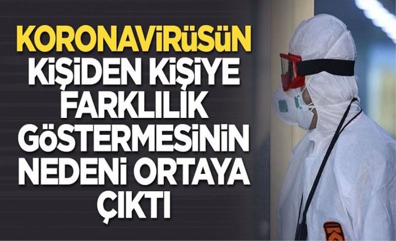 T hücresinin koronavirüsle savaştığı ortaya çıktı