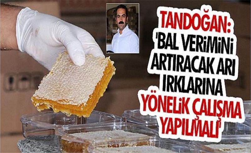 Tandoğan: 'Bal verimini artıracak arı ırklarına yönelik çalışma yapılmalı'