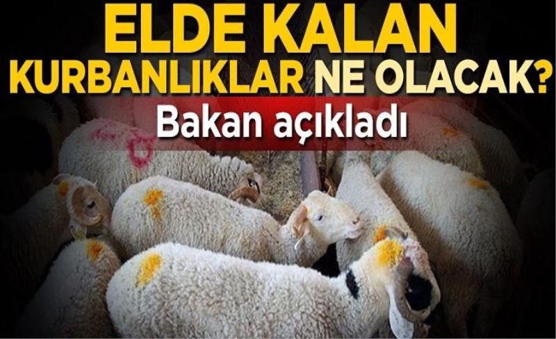 Elde kalan kurbanlıklar satın alınacak