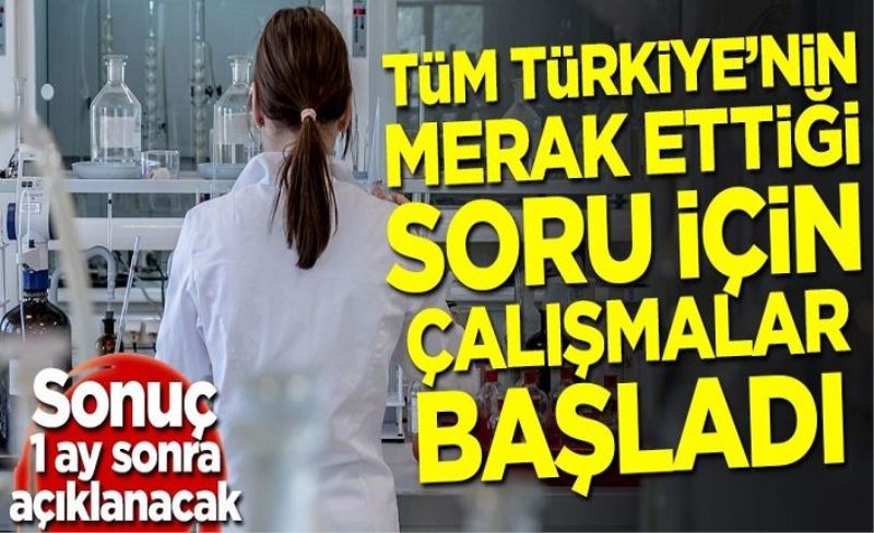 Tüm Türkiye'nin merak ettiği soru için çalışmalar başladı! Sonuç 1 ay sonra açıklanacak