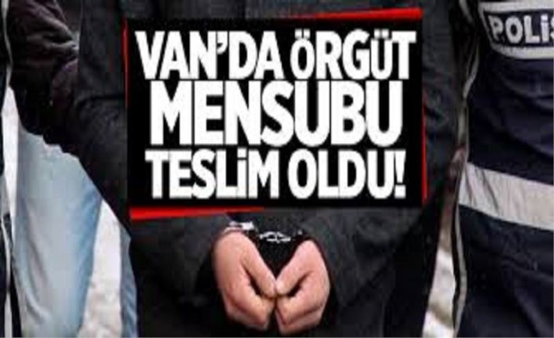 Van'da bir örgüt mensubu teslim oldu