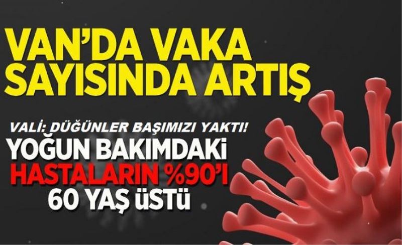 Van'da korkulan oluyor mu? Vali: Düğünler başımızı yaktı!