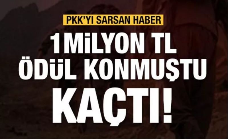 Van'da yakalandı! 1 milyon TL ile aranan PKK'lı Vedat Demir kaçtı