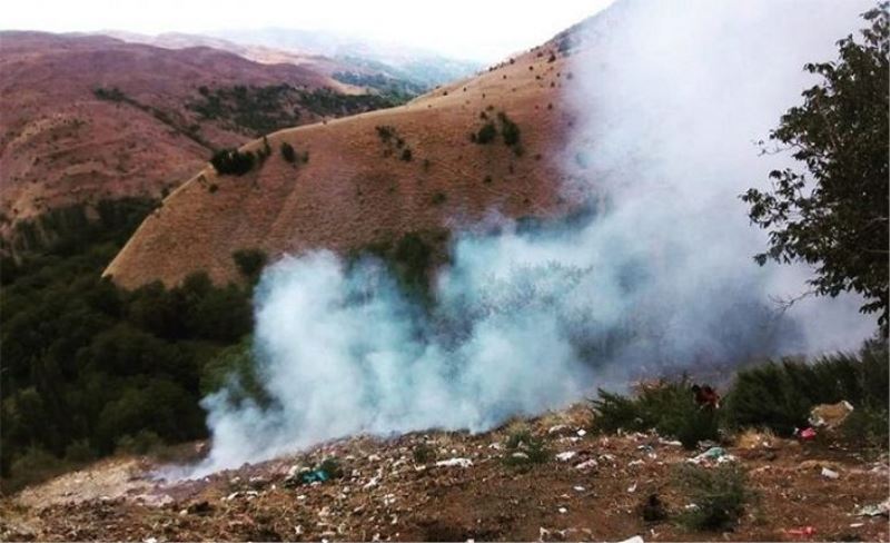 Bahçesaray'da makilik alanda yangın çıktı