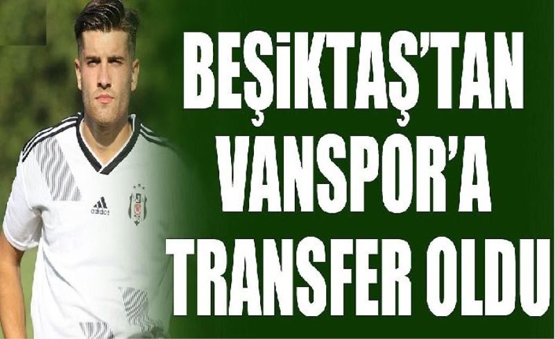 Beşiktaş’tan Vanspor’a transfer oldu