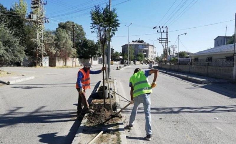 İpekyolu'ndaki kaldırımlar yeşillendiriliyor