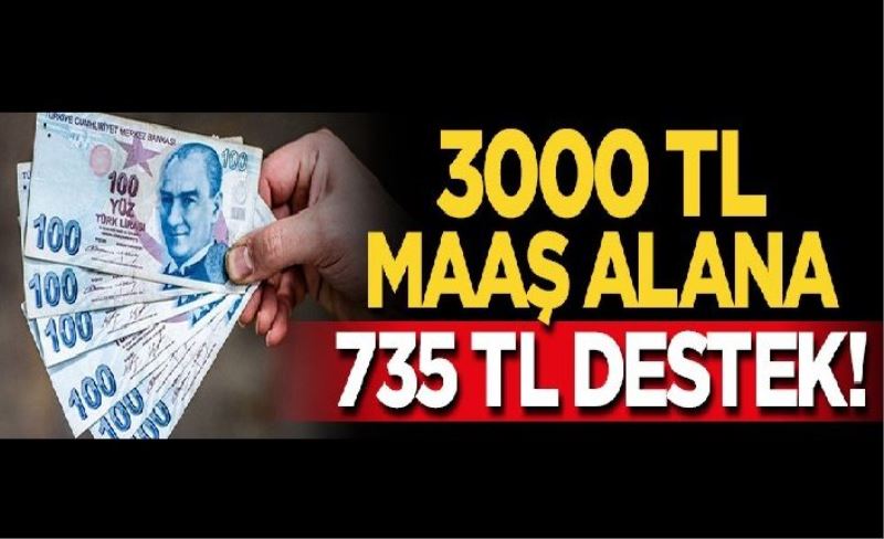 Prim desteğinin detayları belli oldu! 3000 TL maaş alana 735 TL