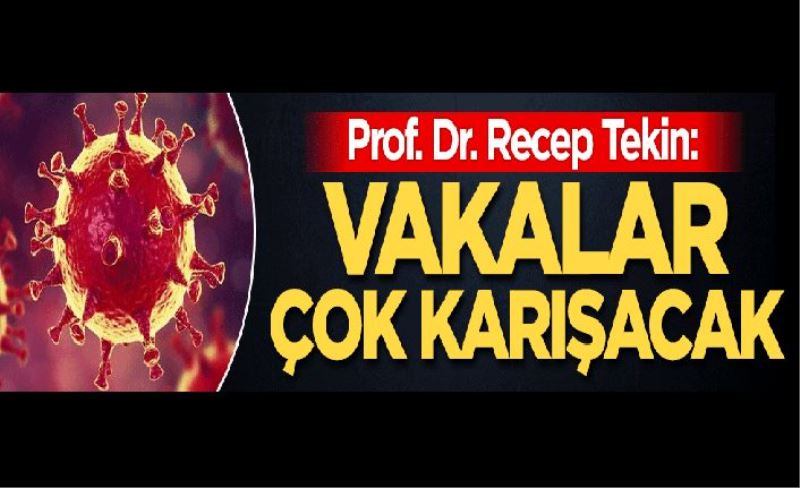 Prof. Dr. Tekin: Vakalar çok karışacak