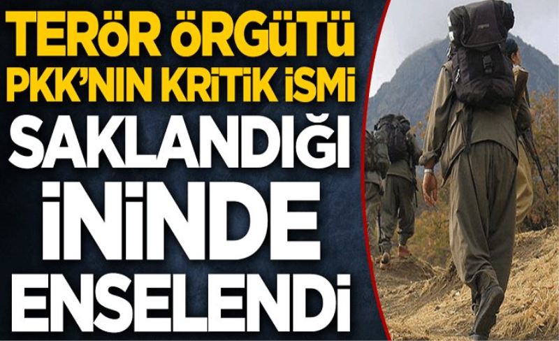 ÜST DÜZEY PKK'LI VAN'DA YAKALANDI!