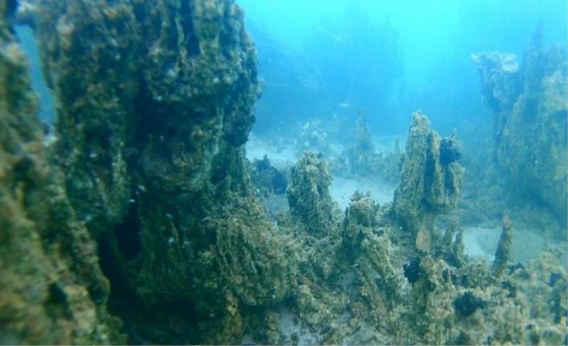 Vangölü'nün derinliklerindeki kalıntılar gün yüzüne çıkıyor