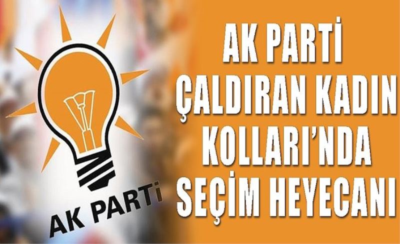 AK Parti Çaldıran Kadın Kolları’nda seçim heyecanı