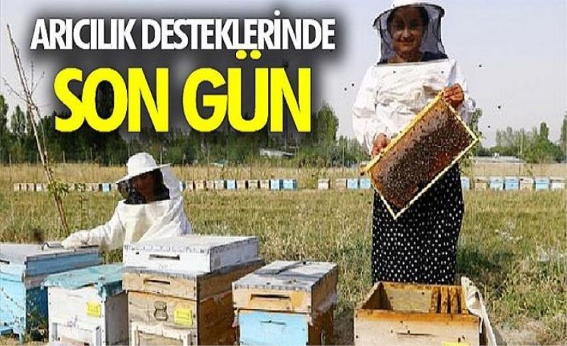 Arıcılık desteklerinde son gün