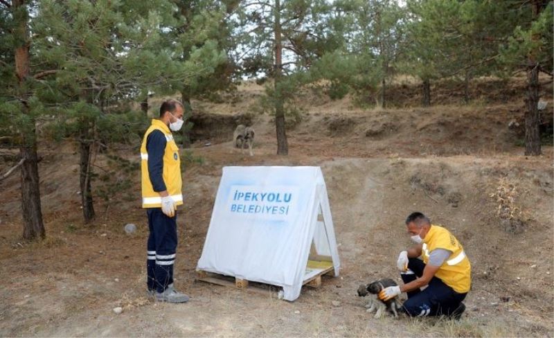 Atık malzemelerden barınak yapıldı