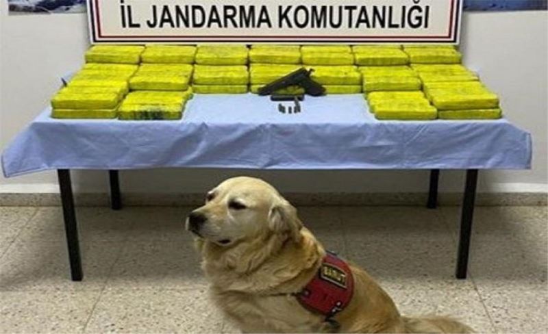 Başkale'de 61 kilo eroin ele geçirildi