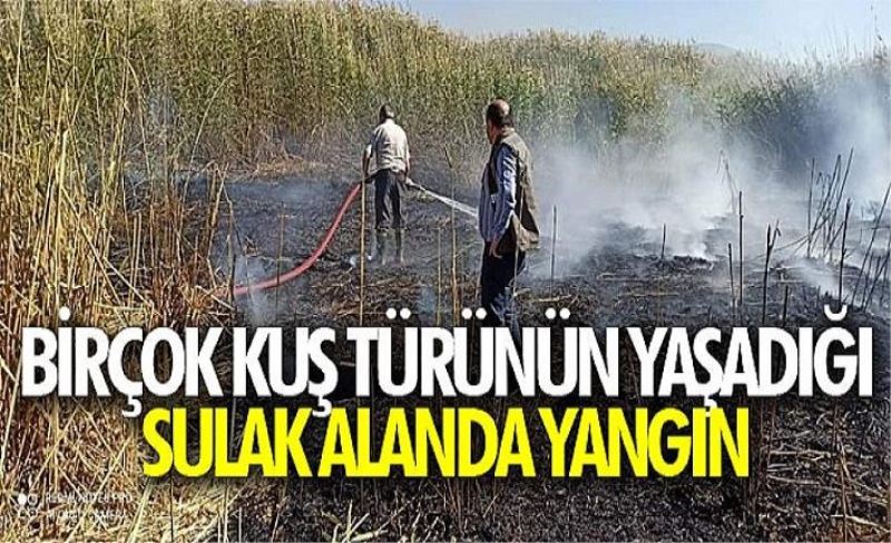 Birçok kuş türünün yaşadığı sulak alanda yangın