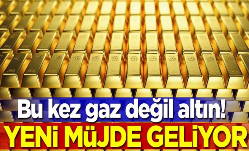 Bu kez gaz değil altın! Yeni müjde geliyor