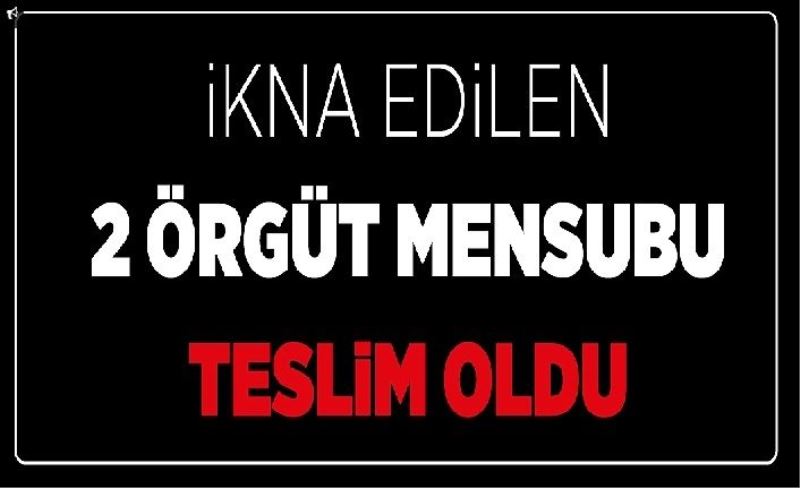 İkna edilen 2 örgüt mensubu teslim oldu