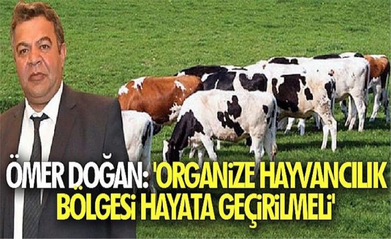 Ömer Doğan: 'Organize Hayvancılık Bölgesi hayata geçirilmeli'