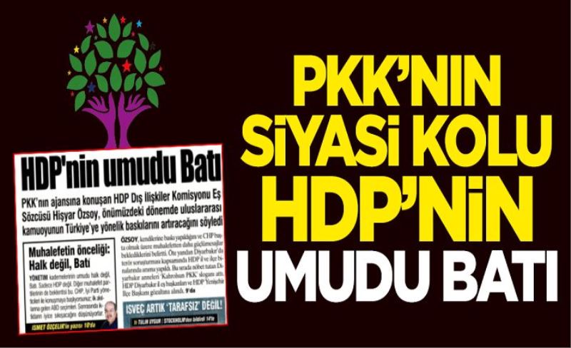 PKK'nın siyasi kolu HDP'nin umudu Batı
